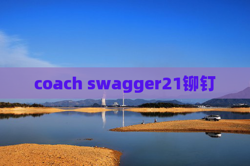 coach swagger21铆钉